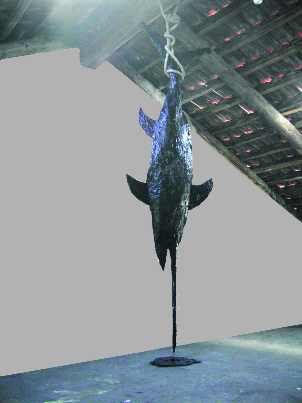pesce spada