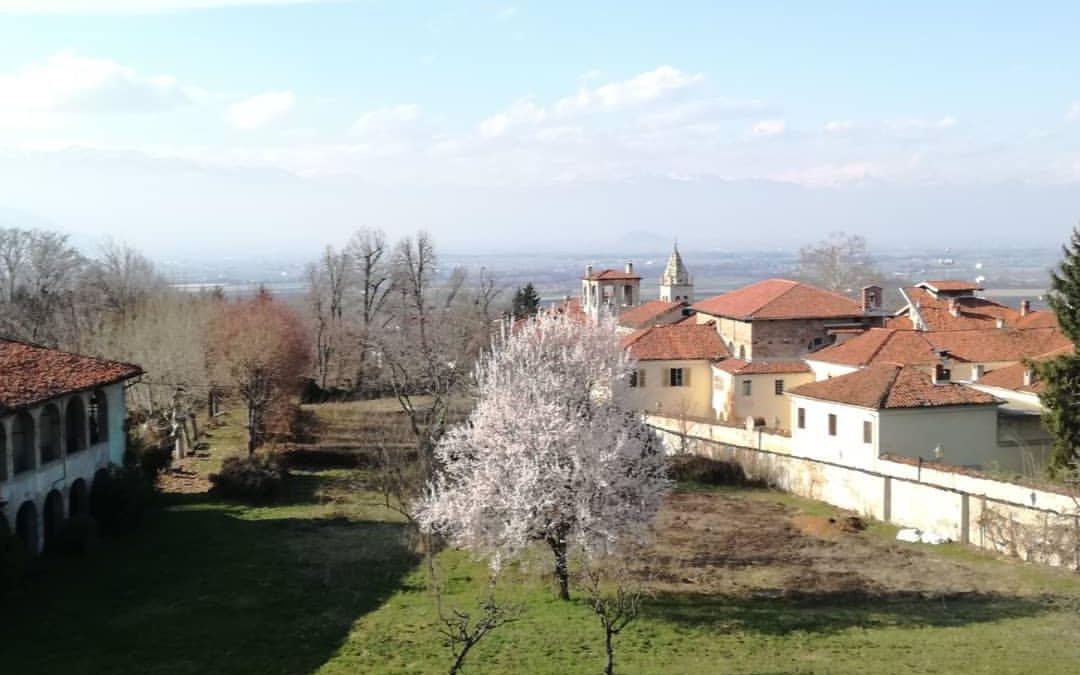 Invito ad esporre all’Araba Fenice 2019