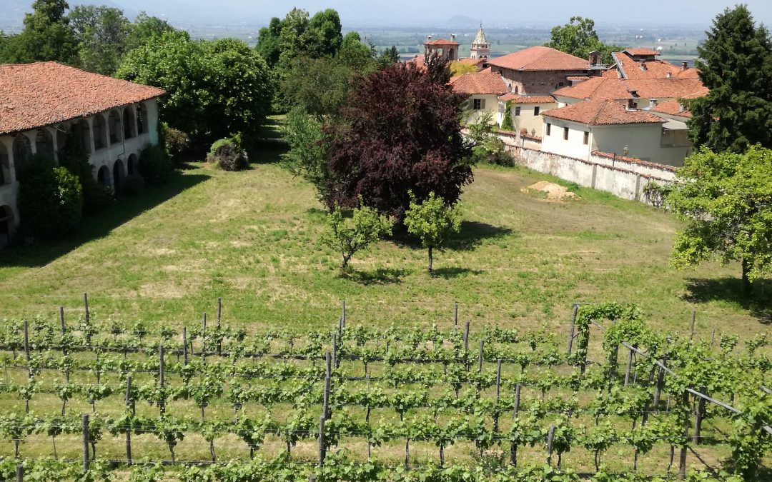 Chiamata aperta per esporre alla 8a edizione dell’Araba Fenice